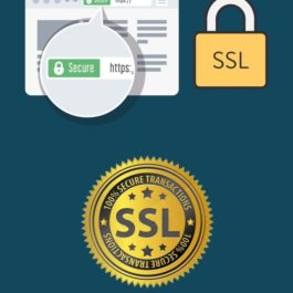 Svetainės SSL sertifikatas, jo diegimas ir nustatymas